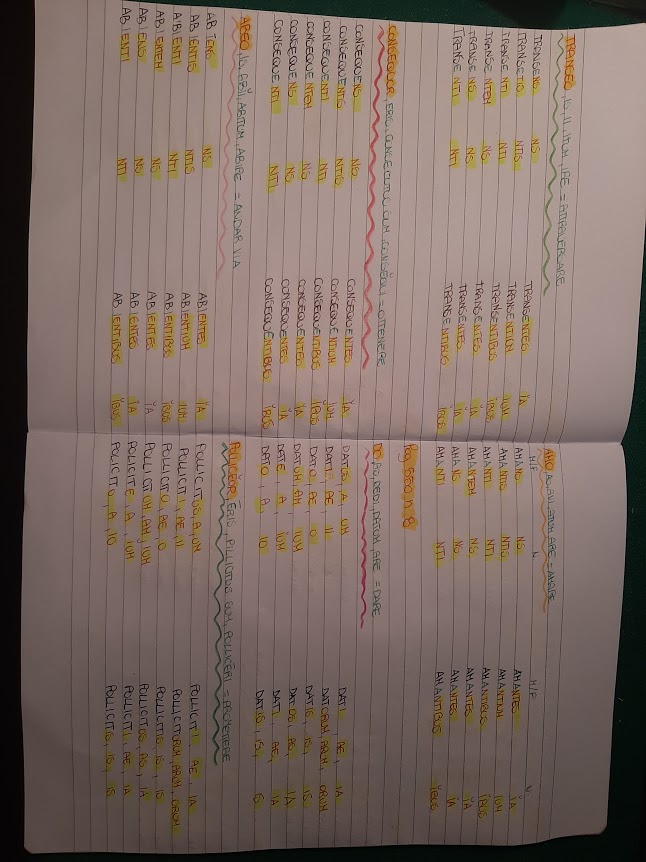 mappe latino by Maria Carla - Ourboox.com