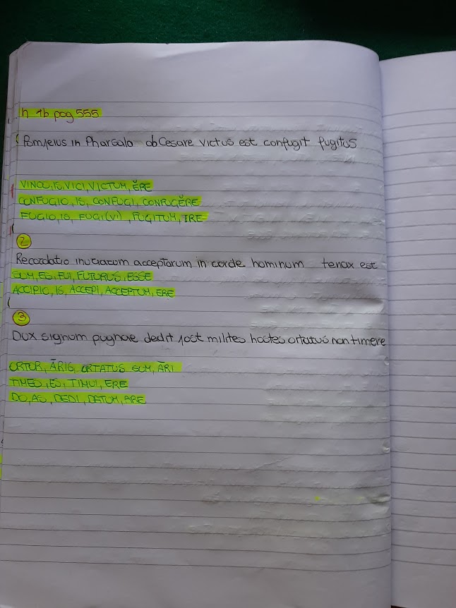 mappe latino by Maria Carla - Ourboox.com