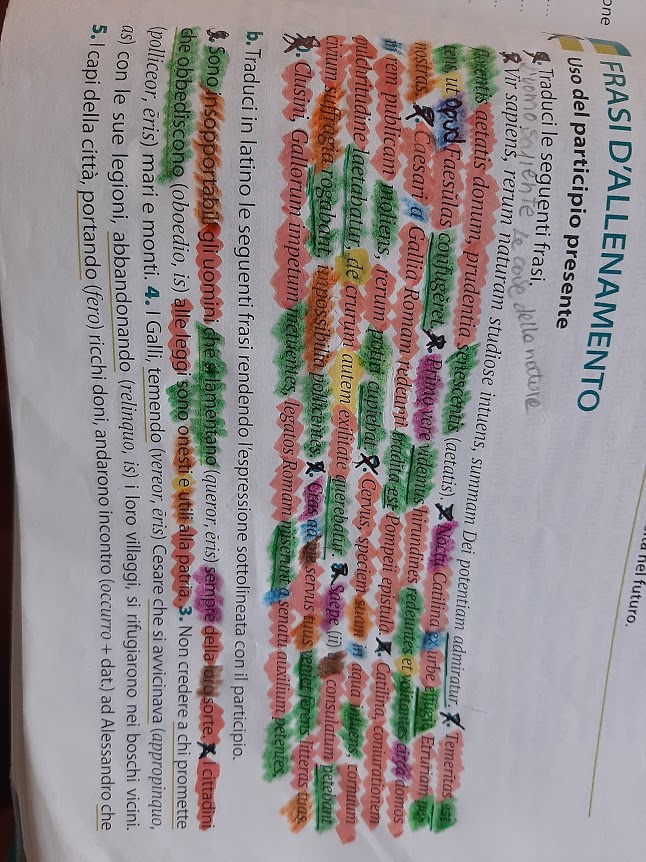 mappe latino by Maria Carla - Ourboox.com