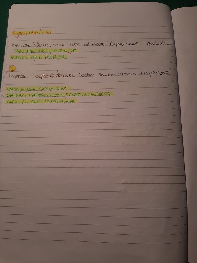 mappe latino by Maria Carla - Ourboox.com