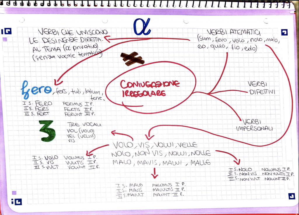 BOOK LATINO by Sara Digitalino - Ourboox.com