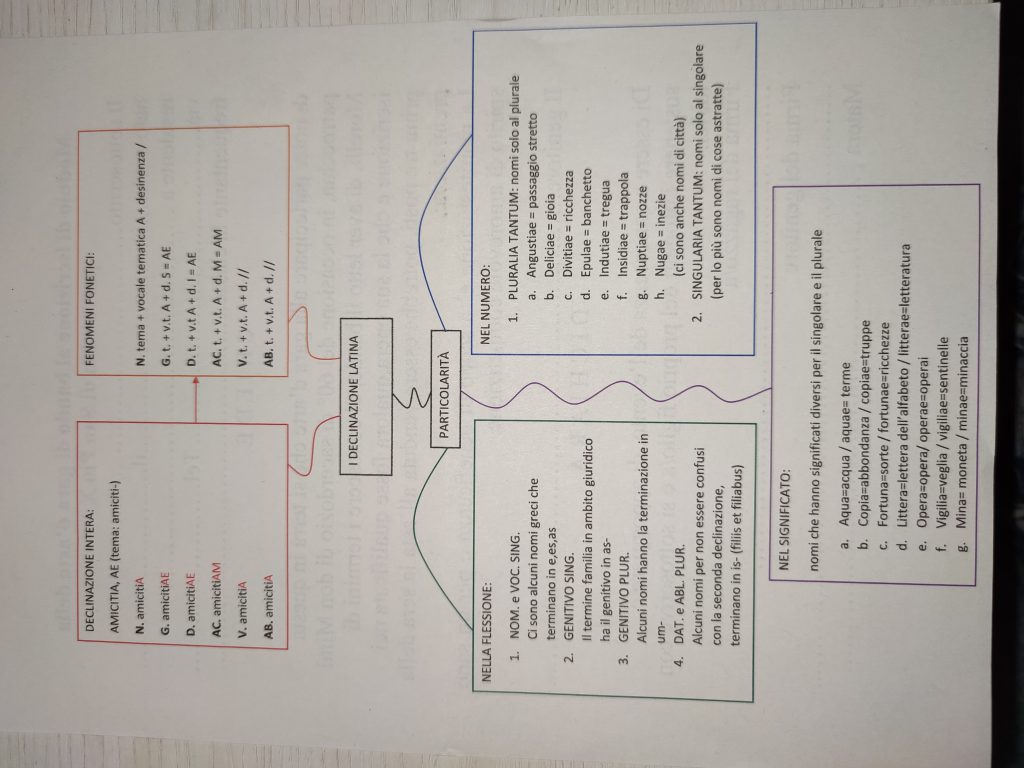 MINDMAPPING LATINO by giulia gravela - Illustrated by Giulia Rosa Gravela - Ourboox.com
