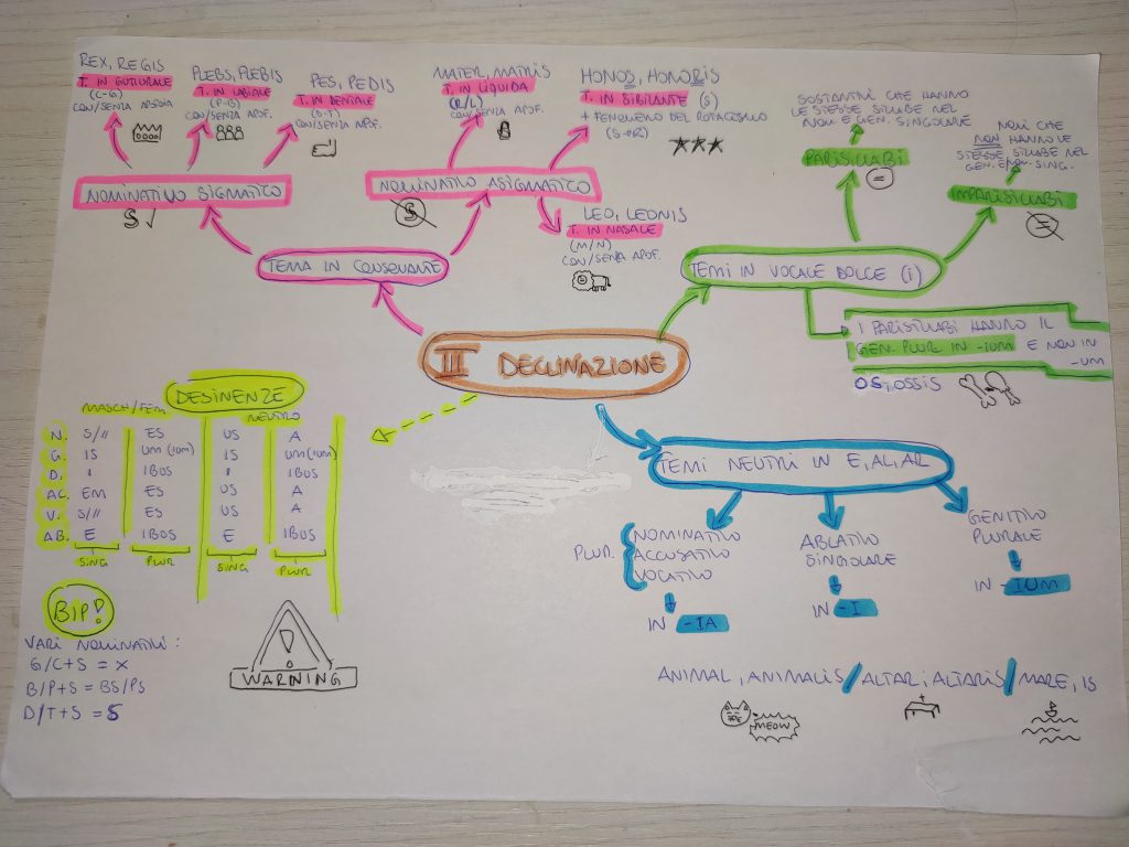 MINDMAPPING LATINO by giulia gravela - Illustrated by Giulia Rosa Gravela - Ourboox.com