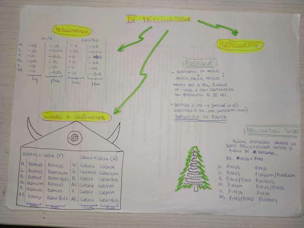 MINDMAPPING LATINO by giulia gravela - Illustrated by Giulia Rosa Gravela - Ourboox.com