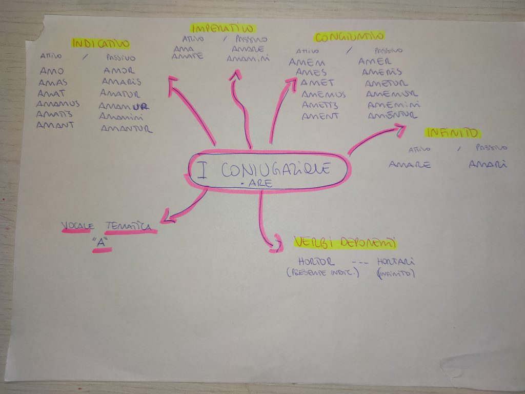 MINDMAPPING LATINO by giulia gravela - Illustrated by Giulia Rosa Gravela - Ourboox.com