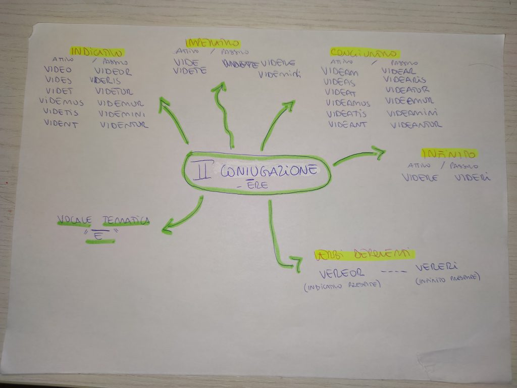 MINDMAPPING LATINO by giulia gravela - Illustrated by Giulia Rosa Gravela - Ourboox.com