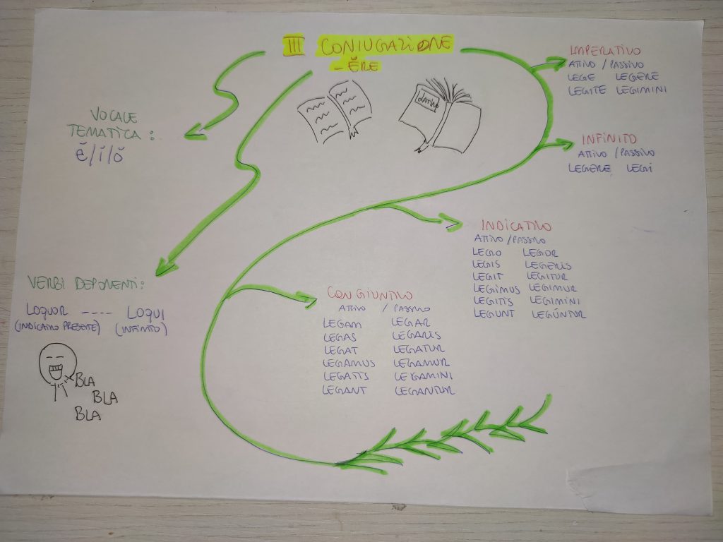 MINDMAPPING LATINO by giulia gravela - Illustrated by Giulia Rosa Gravela - Ourboox.com