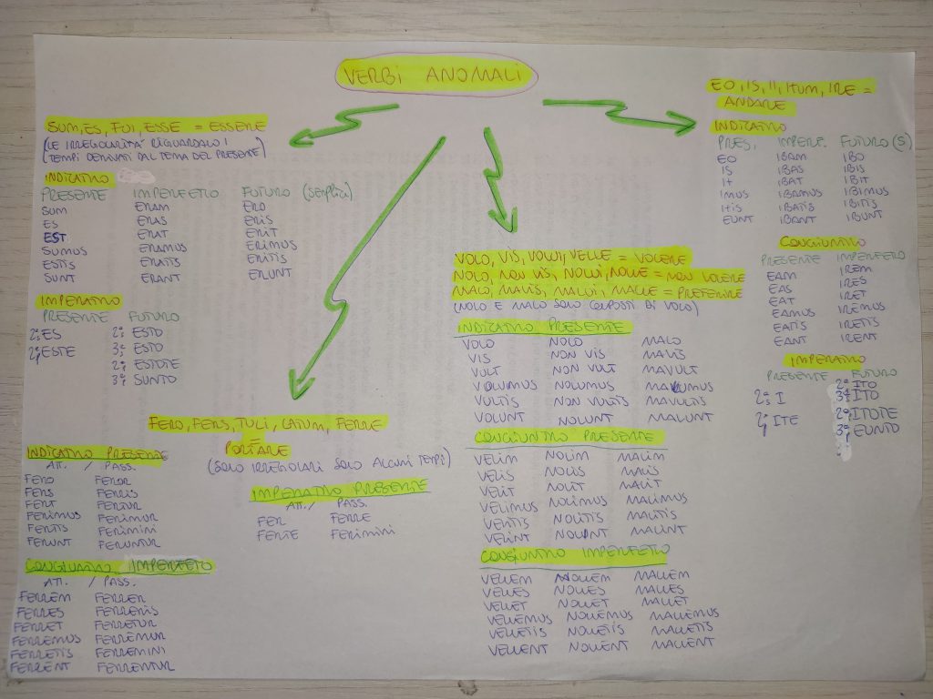MINDMAPPING LATINO by giulia gravela - Illustrated by Giulia Rosa Gravela - Ourboox.com