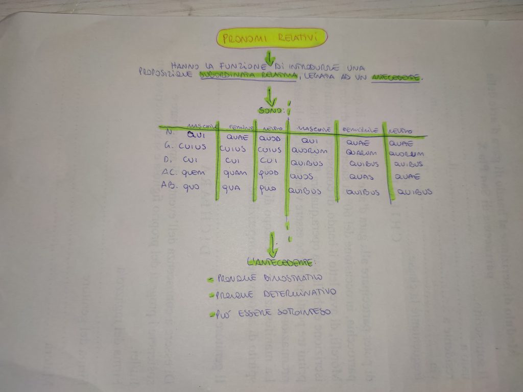 MINDMAPPING LATINO by giulia gravela - Illustrated by Giulia Rosa Gravela - Ourboox.com