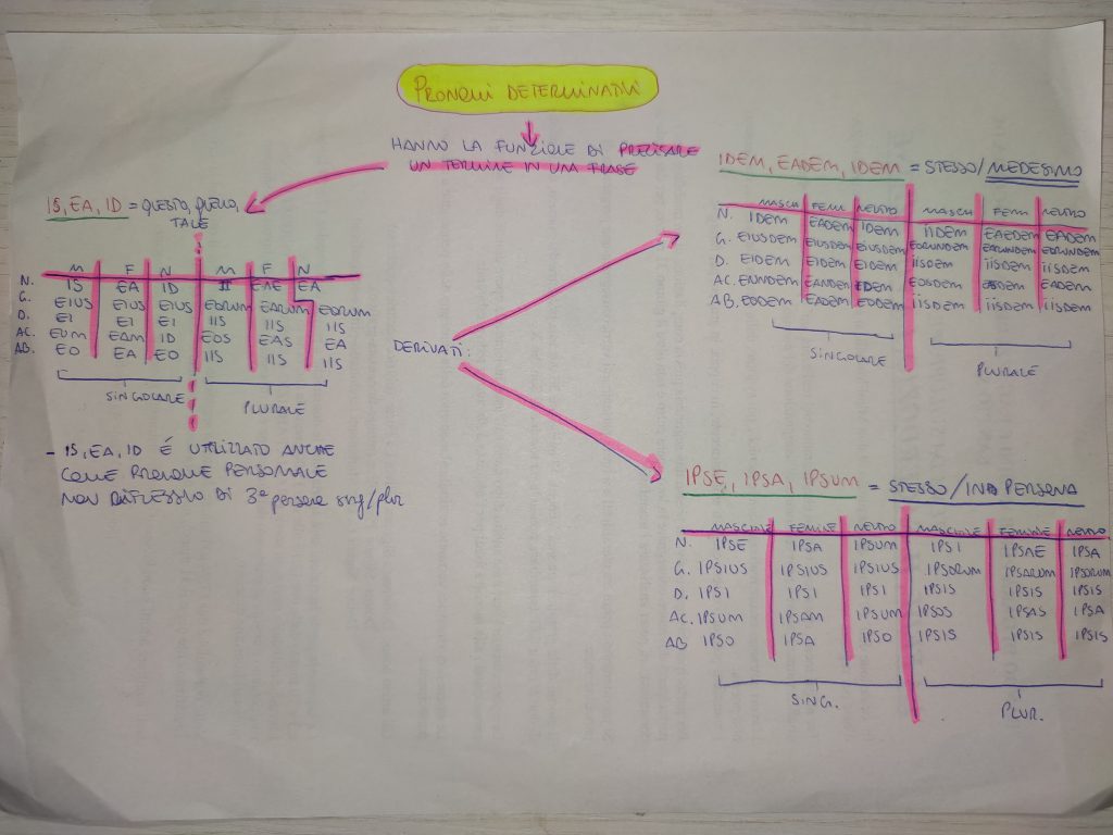 MINDMAPPING LATINO by giulia gravela - Illustrated by Giulia Rosa Gravela - Ourboox.com
