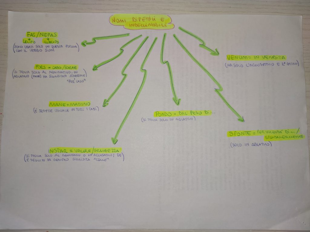 MINDMAPPING LATINO by giulia gravela - Illustrated by Giulia Rosa Gravela - Ourboox.com