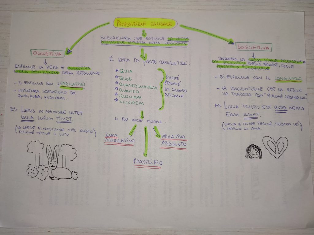 MINDMAPPING LATINO by giulia gravela - Illustrated by Giulia Rosa Gravela - Ourboox.com