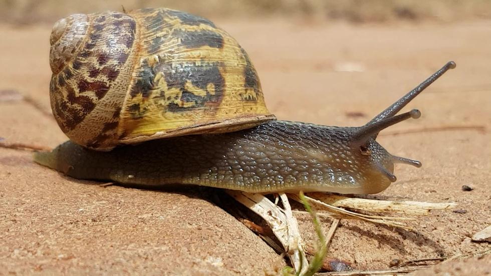 ظواهر فصل الخريف by diala - Ourboox.com