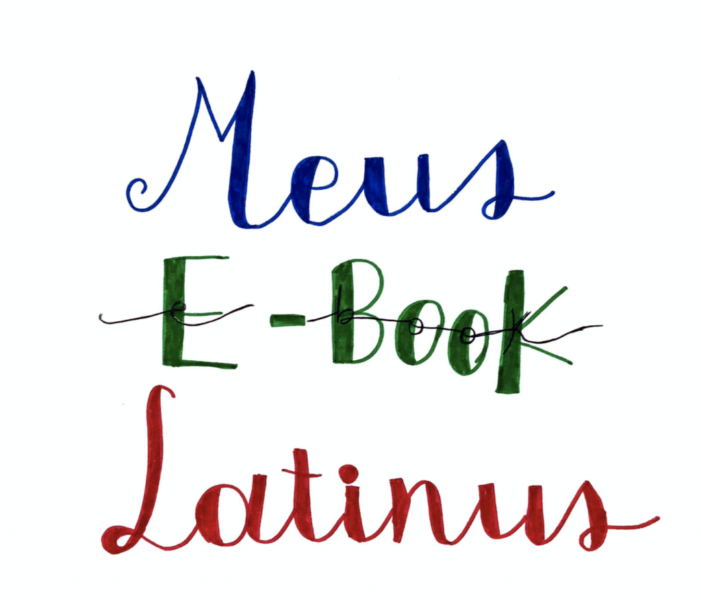 BOOK LATINO by Sara Digitalino - Ourboox.com