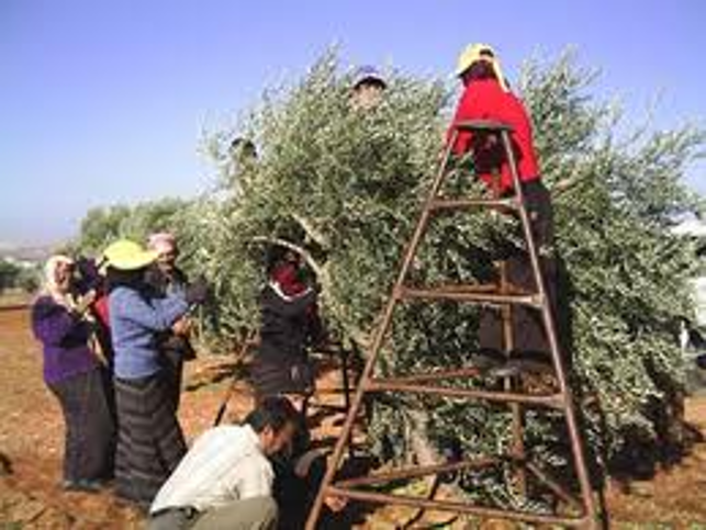 ظواهر فصل الخريف by diala - Ourboox.com