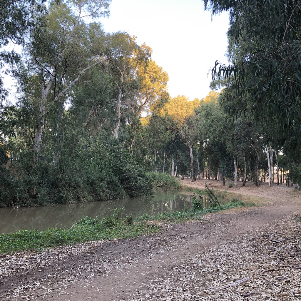 Morning Walk in HaYarkon Park by Mel Rosenberg - מל רוזנברג - Ourboox.com