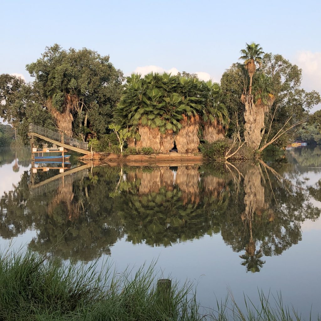 Morning Walk in HaYarkon Park by Mel Rosenberg - מל רוזנברג - Ourboox.com