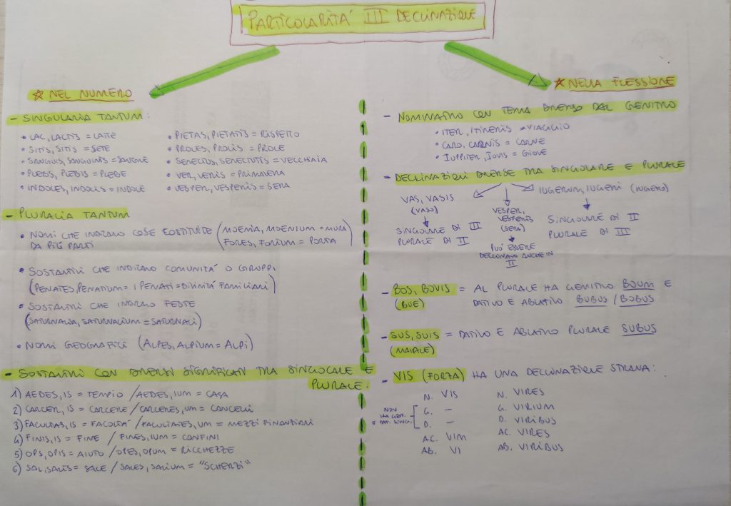 MINDMAPPING LATINO by giulia gravela - Illustrated by Giulia Rosa Gravela - Ourboox.com