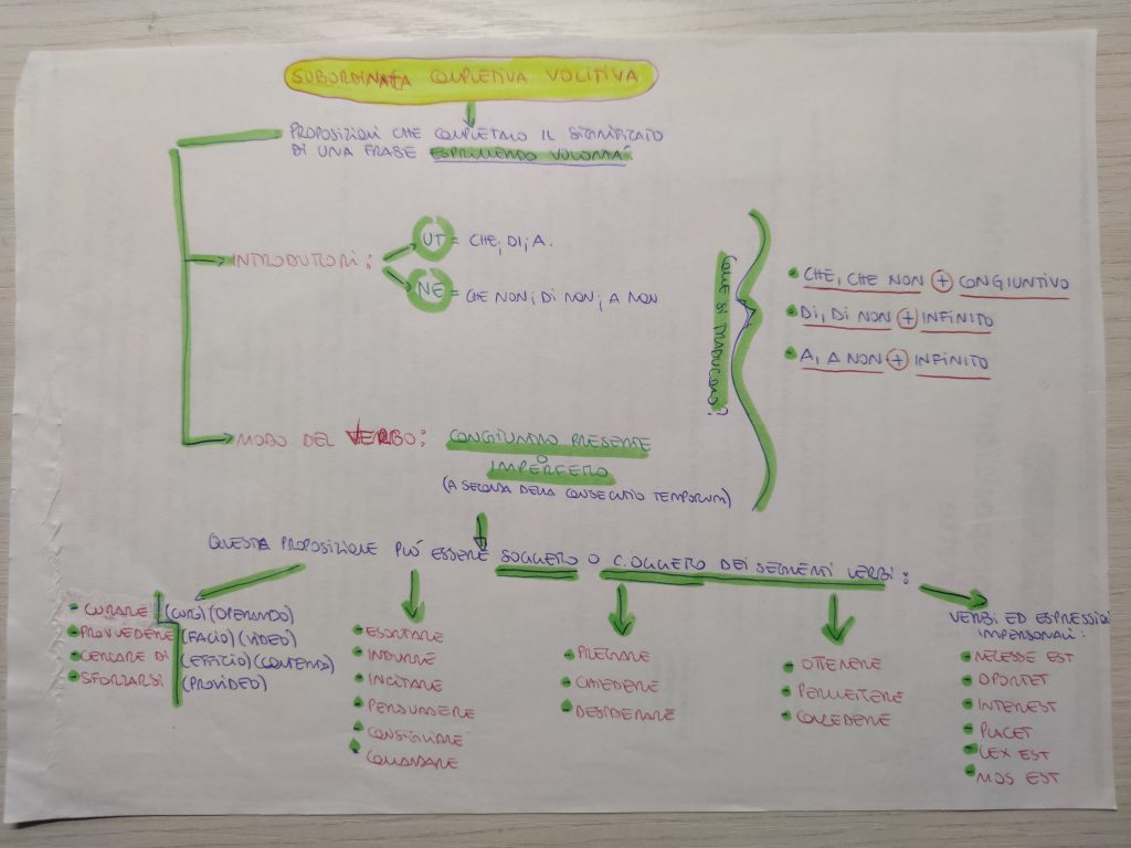 MINDMAPPING LATINO by giulia gravela - Illustrated by Giulia Rosa Gravela - Ourboox.com