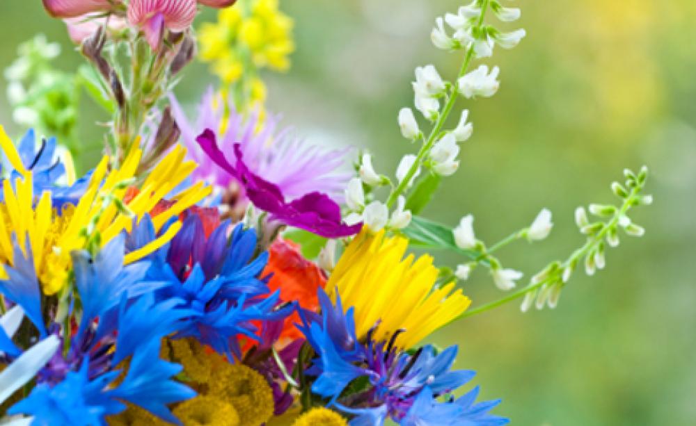 הדרכה by shani - Ourboox.com