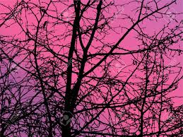 PROVA by Classe secondad - Ourboox.com