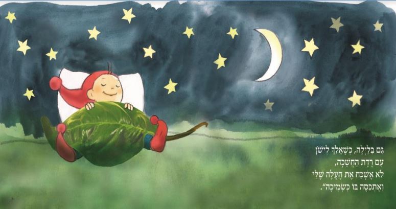 מה אפשר לעשות בעלה by hila - Ourboox.com