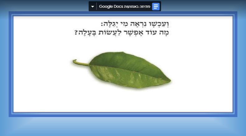 מה אפשר לעשות בעלה by hila - Ourboox.com