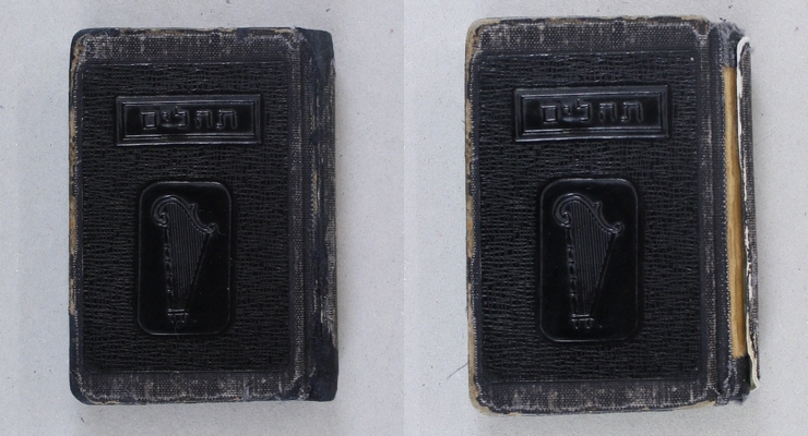 נתן שרנסקי by Michal Lashansky - Ourboox.com