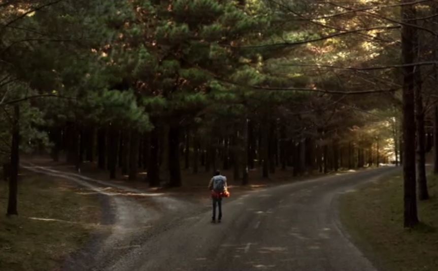 The Road Not Taken by tayb yehia - Ourboox.com