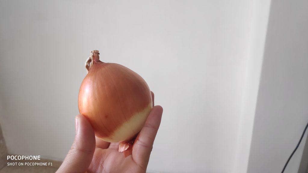 Ten Words/ Onion by Dina - Illustrated by Dina Rachamim Kipgen - Ourboox.com