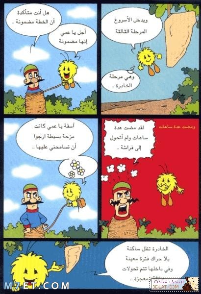 قصص خيالية by Afaf Tahan - Ourboox.com