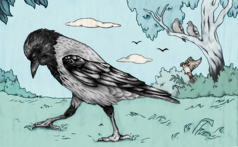 מדוע העורב הולך ברקידה? by zohar goldberg - Illustrated by עיבוד: חַגִית אוֹחֲנָה איור: יפעה מיטלמן - Ourboox.com