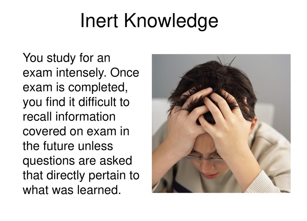 Director’s Agenda by Ildeniz Ozverir - Ourboox.com