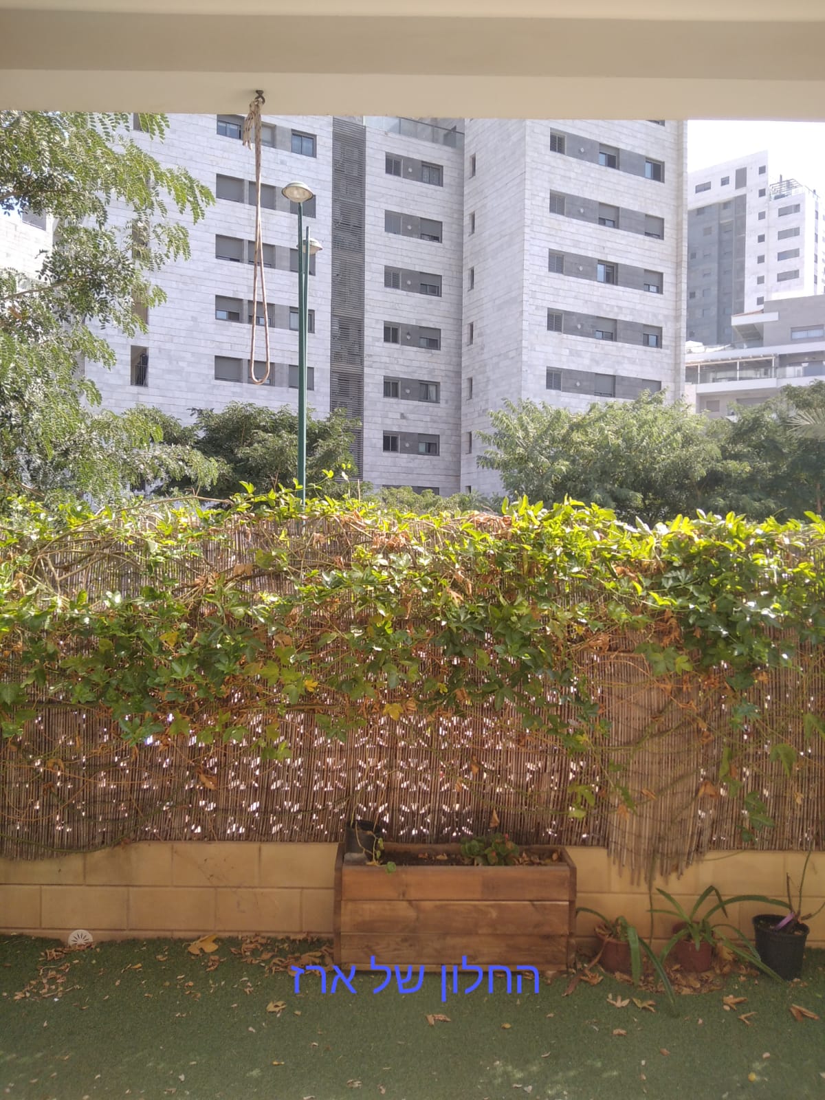 הישוב שלי מחלון ביתי- ביה”ס אילן רמון חדרה by Assaf Dauber - Illustrated by אסף דאובר - Ourboox.com