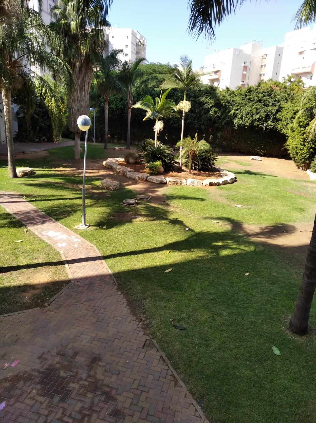 הישוב שלי מחלון ביתי- ביה”ס אילן רמון חדרה by Assaf Dauber - Illustrated by אסף דאובר - Ourboox.com