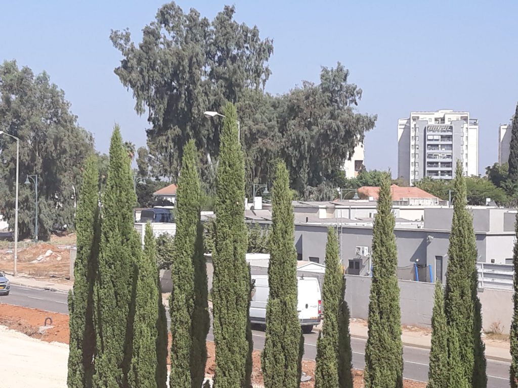 הישוב שלי מחלון ביתי- ביה”ס אילן רמון חדרה by Assaf Dauber - Illustrated by אסף דאובר - Ourboox.com