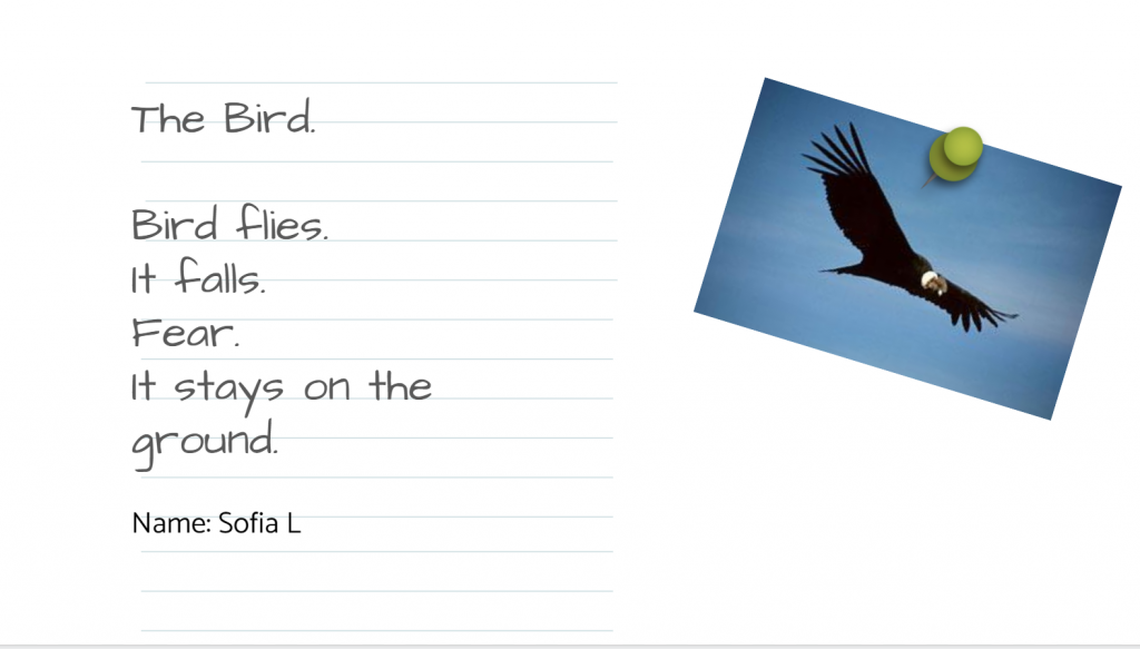 Teens writing Poetry by Yaarit Budany - Ourboox.com