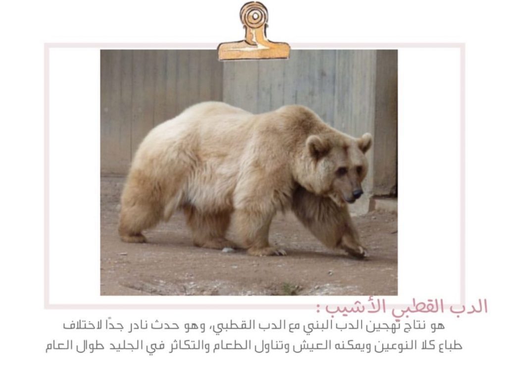 علم البيئة by shahd - Illustrated by بحث - Ourboox.com