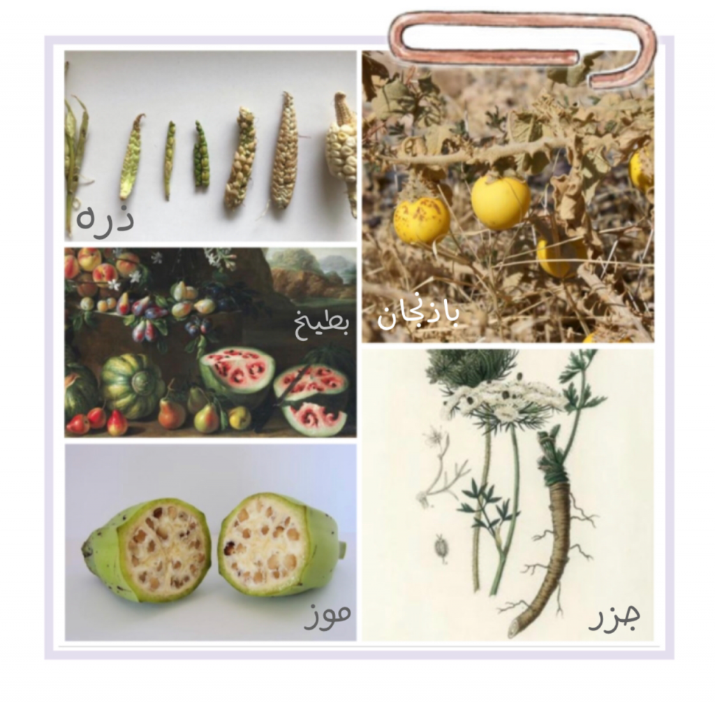 علم البيئة by shahd - Illustrated by بحث - Ourboox.com