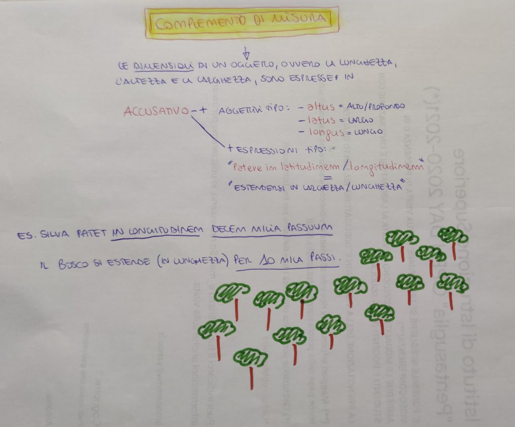 MINDMAPPING LATINO by giulia gravela - Illustrated by Giulia Rosa Gravela - Ourboox.com