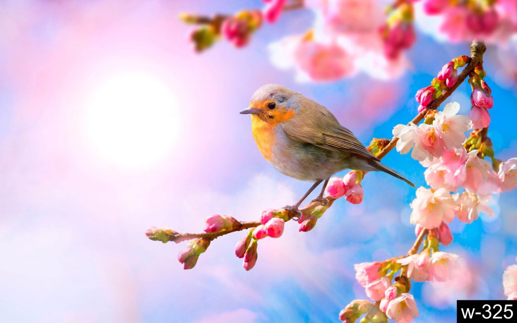 Урок 8 by daria kapusterynska - Ourboox.com