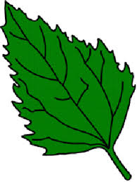 Home work by Killerclone - Ourboox.com