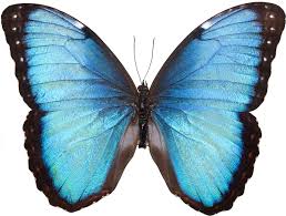 Урок 8 Формати графічних файлів by Dmytro Sylkin - Ourboox.com