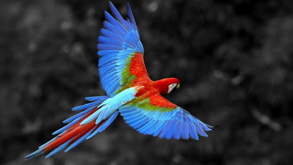 урок 8 ФОРМАТИ ГРАФІЧНИХ ФАЙЛІВ by nataliia naumenko - Ourboox.com