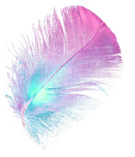 урок 8 ФОРМАТИ ГРАФІЧНИХ ФАЙЛІВ by nataliia naumenko - Ourboox.com