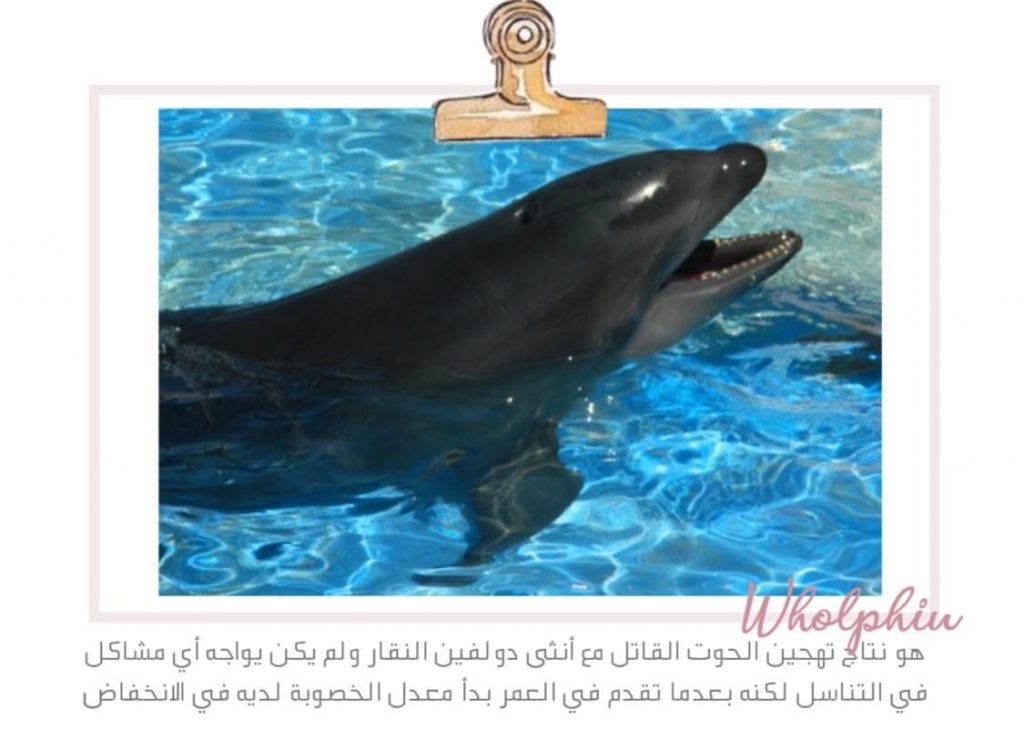 علم البيئة by shahd - Illustrated by بحث - Ourboox.com