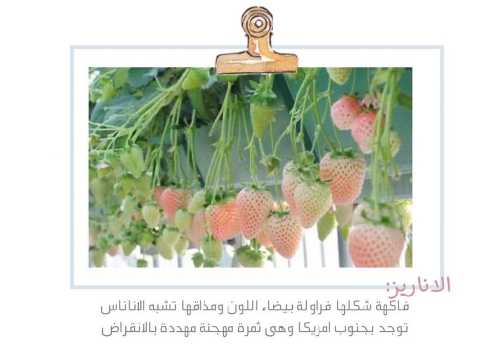 علم البيئة by shahd - Illustrated by بحث - Ourboox.com