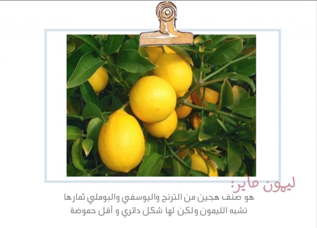 علم البيئة by shahd - Illustrated by بحث - Ourboox.com