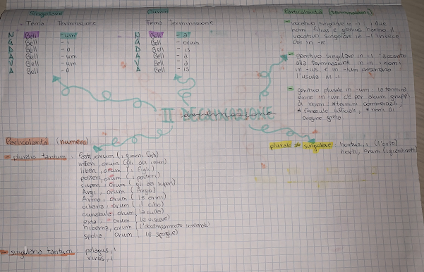 mappe mentali latino by Giorgia Adduci - Ourboox.com