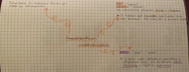 mappe mentali latino by Giorgia Adduci - Ourboox.com